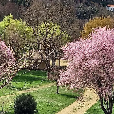 Cosy Avec Jeux Et Terrasse A - Fr-1-582-338 *